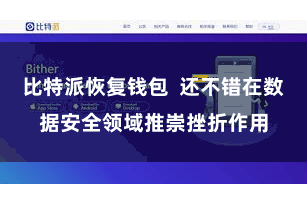 比特派恢复钱包 还不错在数据安全领域推崇挫折作用