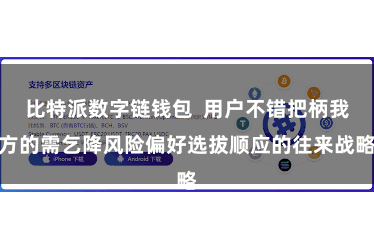 比特派数字链钱包  用户不错把柄我方的需乞降风险偏好选拔顺应的往来战略