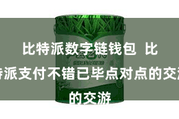 比特派数字链钱包  比特派支付不错已毕点对点的交游