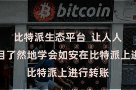 比特派生态平台  让人人约略一目了然地学会如安在比特派上进行转账