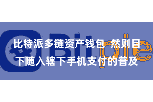 比特派多链资产钱包  然则目下随入辖下手机支付的普及