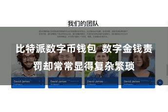 比特派数字币钱包  数字金钱责罚却常常显得复杂繁琐