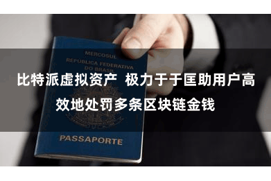 比特派虚拟资产  极力于于匡助用户高效地处罚多条区块链金钱