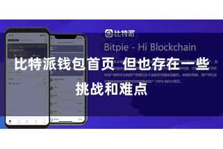 比特派钱包首页  但也存在一些挑战和难点