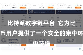 比特派数字链平台  它为比特币用户提供了一个安全的集中环境