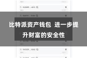 比特派资产钱包  进一步提升财富的安全性